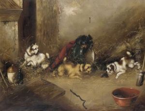 The Hedgehog
