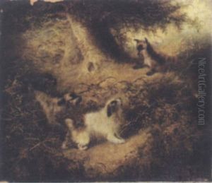 Chasing The Fox