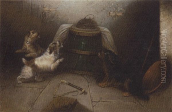 Terriers At A Rabbit Hole - view 1
