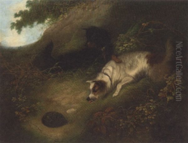 Terriers Looking At A Hedgehog - view 1
