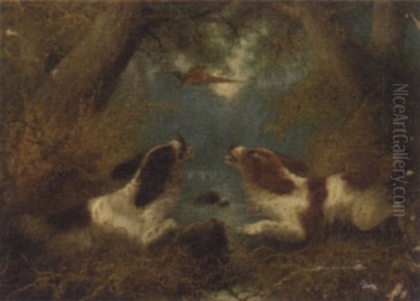 Spaniels Flushing A Pheasant - view 1