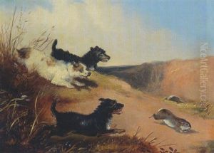 Drei Terrier Jagen Einen Hasen by Edward Armfield