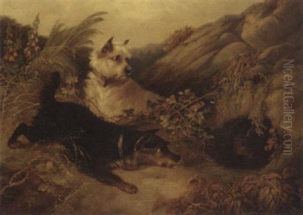 Terriers Rabbiting - view 1