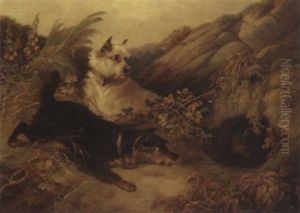 Terriers Rabbiting by Edward Armfield