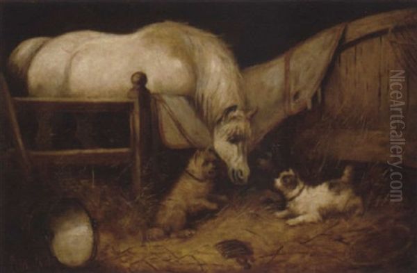 Stable Friends - view 1