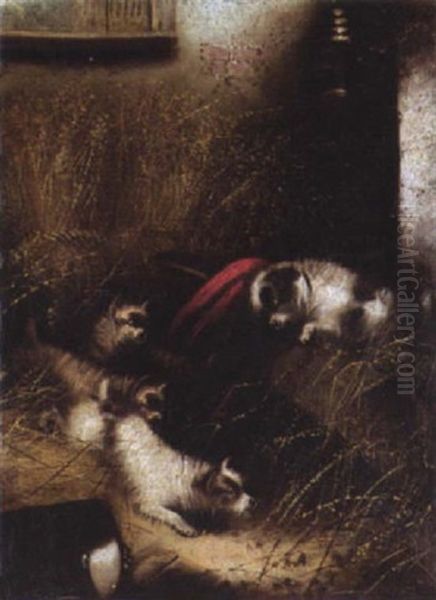 The Search - view 1