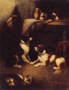 Terriers Terriers