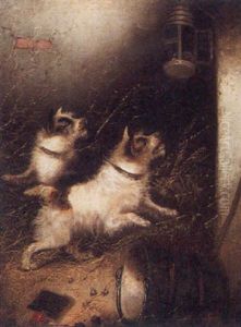Terriers Alarm