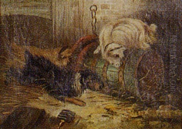 Terriers In A Barn - view 1