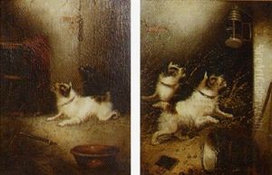 Terriers In A Barn by Edward Armfield