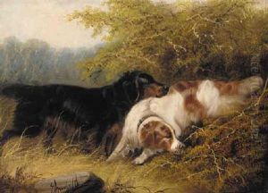 Setters On The Scent