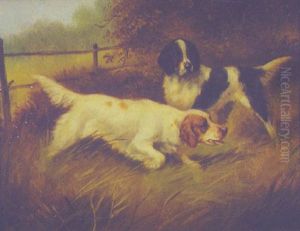 Two Spaniels Two Spaniels