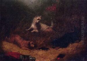 Terriers Ratting by Edward Armfield