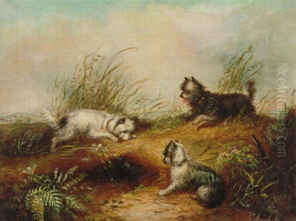 Terriers Ratting In A Barn - view 1