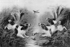 Chasing The Duck by Edward Armfield