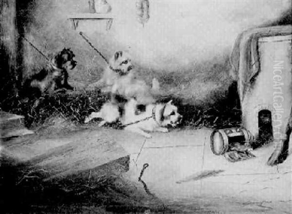 Terriers Chasing A Mouse - view 1