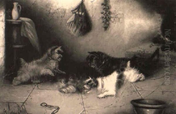 Terriers Ratting - view 1