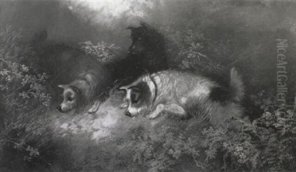 Terriers Ratting - view 1