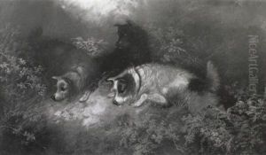 Terriers Ratting