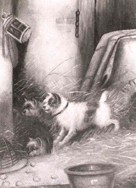 Terriers Ratting - view 1