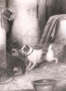 Terriers Ratting by Edward Armfield