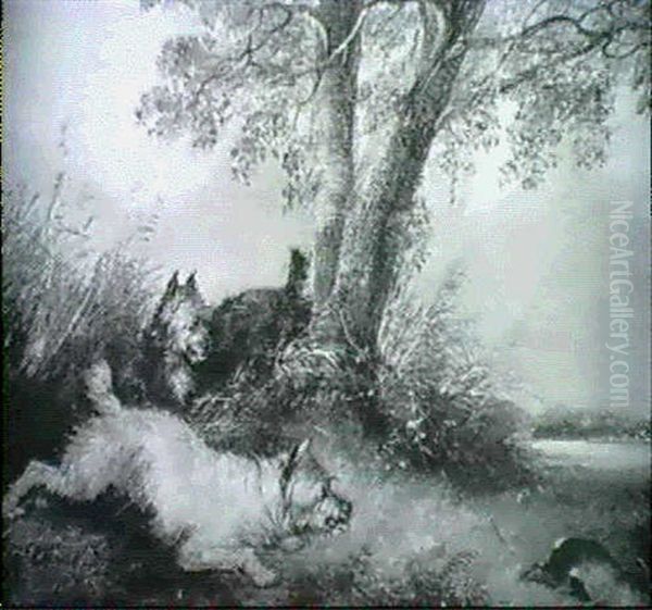 Terriers Chasing A Rabbit - view 1