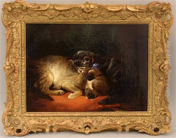 Best Of Friends, Cuddling Dog And Cat - view 1
