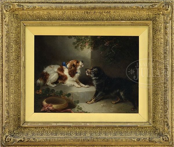 A Spaniel And Terrier Meet - view 1