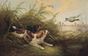 Spaniels Putting Up Mallard by George Armfield