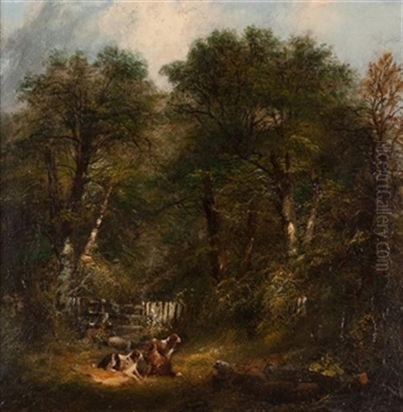 Paisaje - view 1
