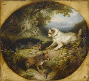 Terriers By A Burrow