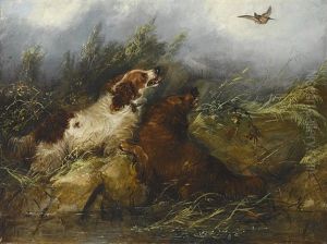 Spaniels Flushing A Bird Spaniels Flushing A Bird