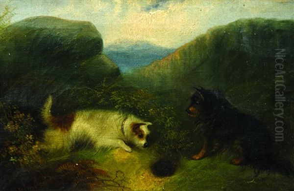 Two Dogs In Landscape - view 1