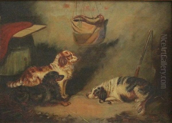 Three Dogs - view 1
