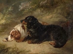 Zwei Liegende Hunde by George Armfield