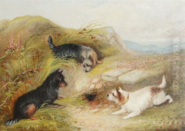 Terriers Hunting - view 1