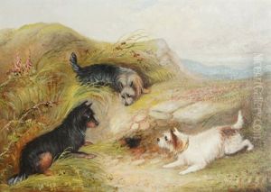 Terriers Hunting by George Armfield