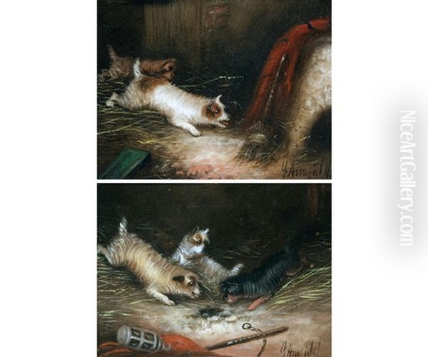 George Armfield Terriers Ratting (a Pair) by George Armfield