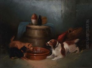Terriers And Spaniel Terriers And Spaniel