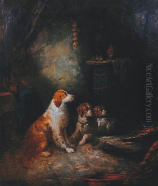 Three Spaniels - view 1