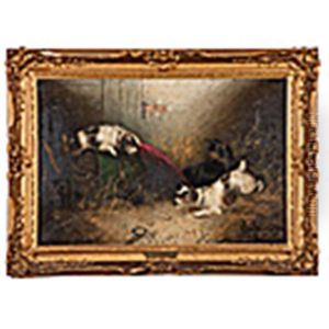 Dogs In Interior Dogs In Interior