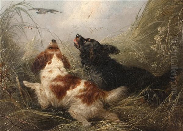 Spaniels In The Rushes Putting Up A Mallard - view 1