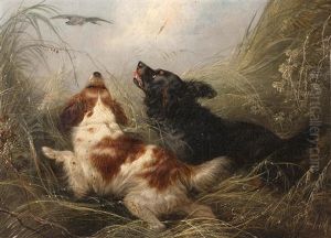 Spaniels In The Rushes Putting Up A Mallard