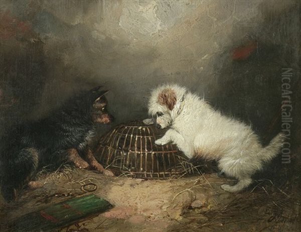 Terriers With A Caged Rat - view 1