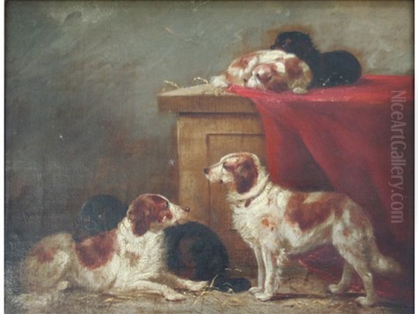 Setters And Spaniels Resting - view 1