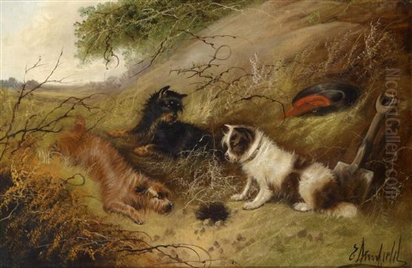 Drei Hunde Bewachen Einen Tierbau - view 1