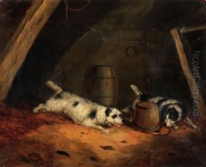 Cani Nella Stalla Cani Nella Stalla