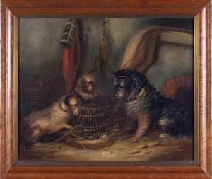 Three Terriers Around A Wicker Cage