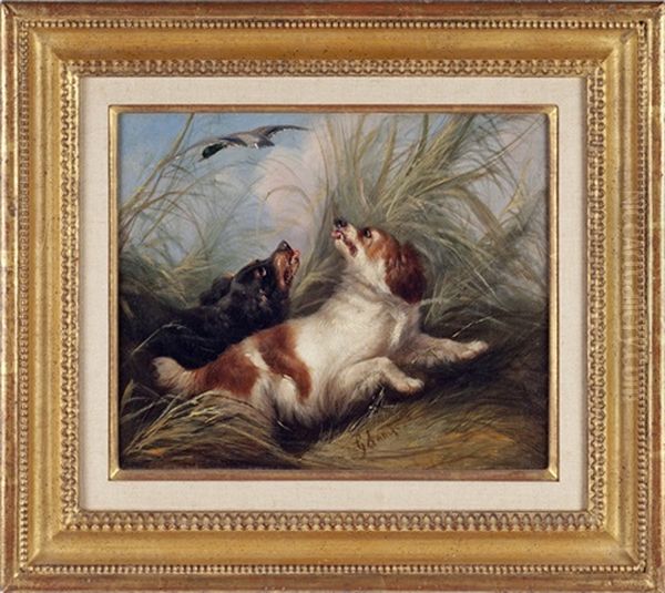 Spaniels Flushing A Duck - view 1