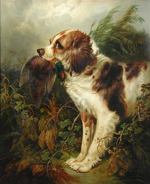 A Spaniel Retriever - view 1